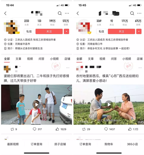 多平台操纵三农自媒体年入10万小项目 多平台操纵三农自媒体年入10万小项目